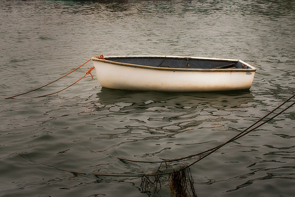 Dingy