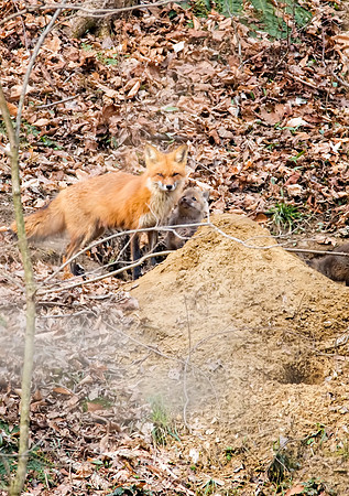 Standing Guard