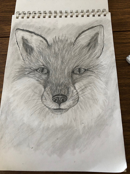Fox_0439