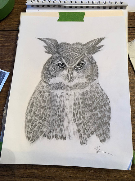 GHOwl_0450