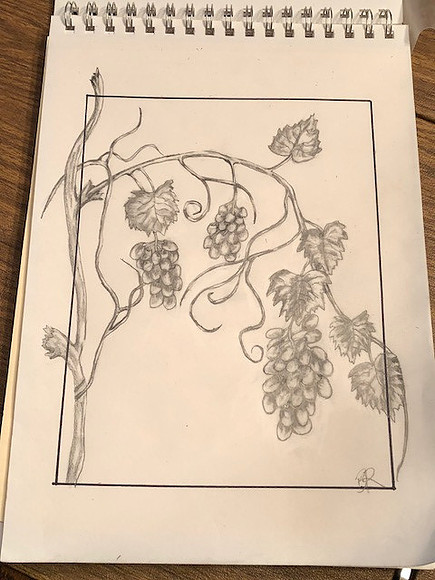 Grapes_0442