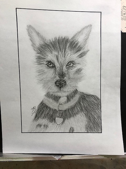 Jake_0503