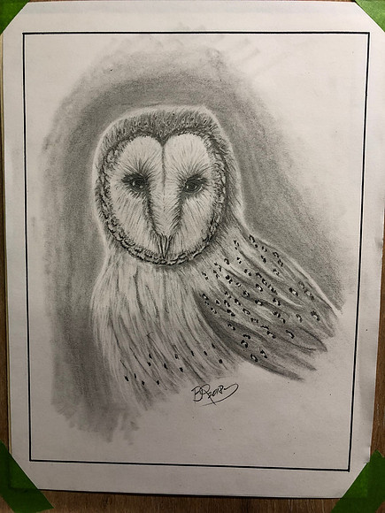 Barn Owl_0507