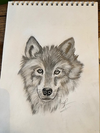 Wolf
