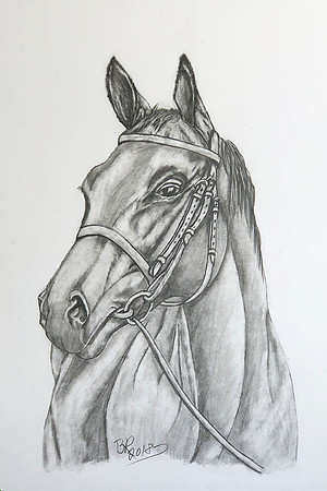 Horse-8x12