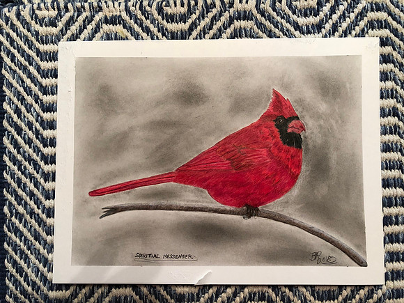 Cardinal-Color