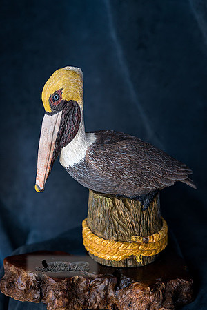 Brown_Pelican