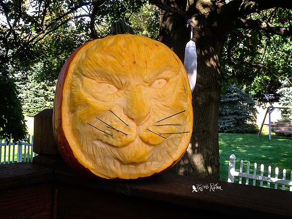 Pumpkin-1 2013