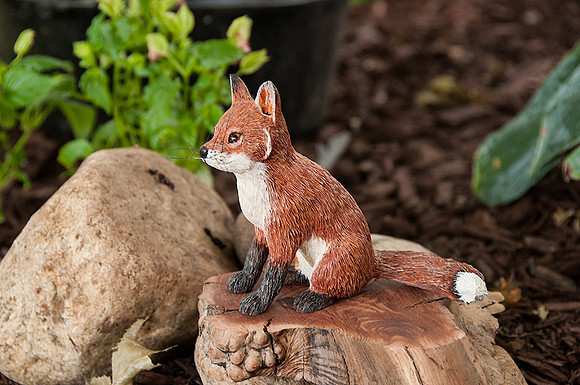 Red_Fox Pup