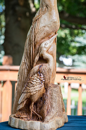 Great Blue Heron 1st Place