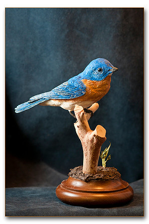 Eastern_Bluebird